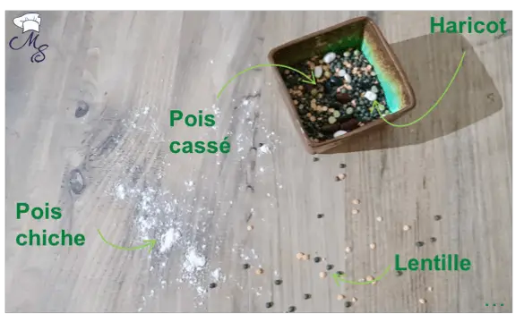 Les légumineuses dans la nutrition sportive Les légumineuses dans la nutrition sportive