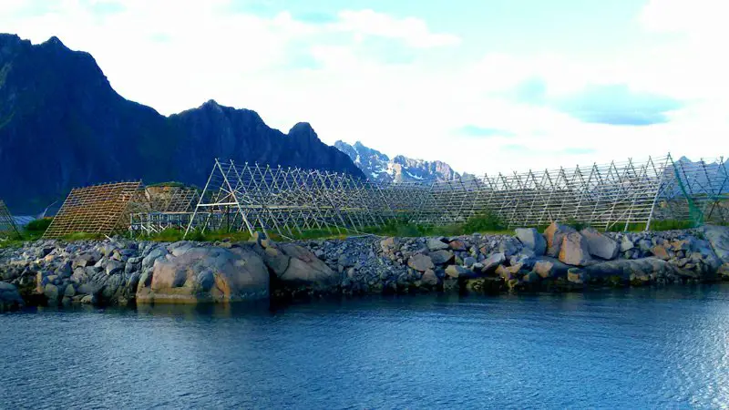 Les séchoirs à morues a coté de la montagne Lofoten