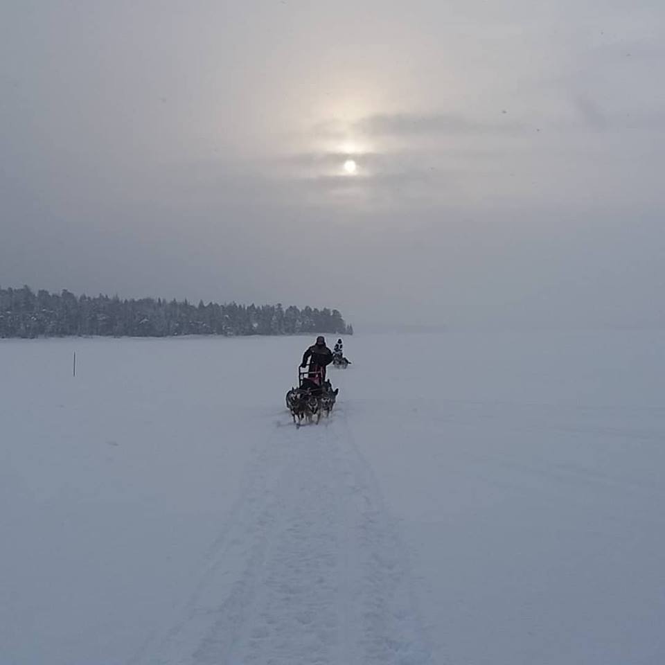 bien s'équiper pour faire du chien de traîneau en Laponie finlandaise bien s