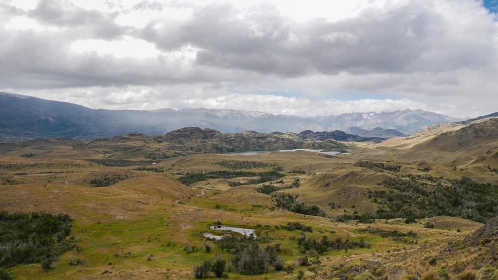 Les couleurs ocres et foncées du parc Patagonia Les couleurs ocres et foncées du parc Patagonia