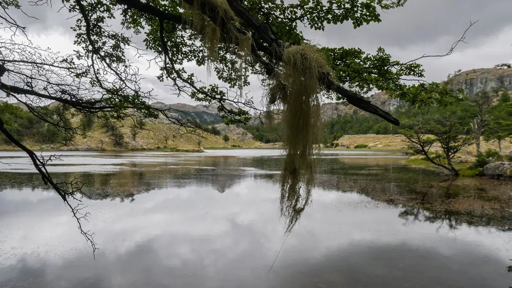 Un brin de repos en forêt Un brin de repos en forêt
