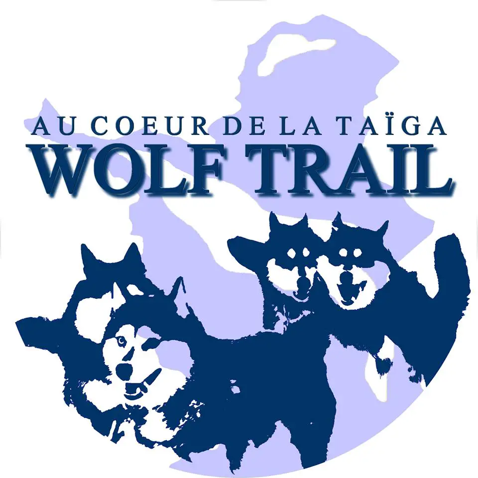 Wolf Trail voyage en chien de traineau