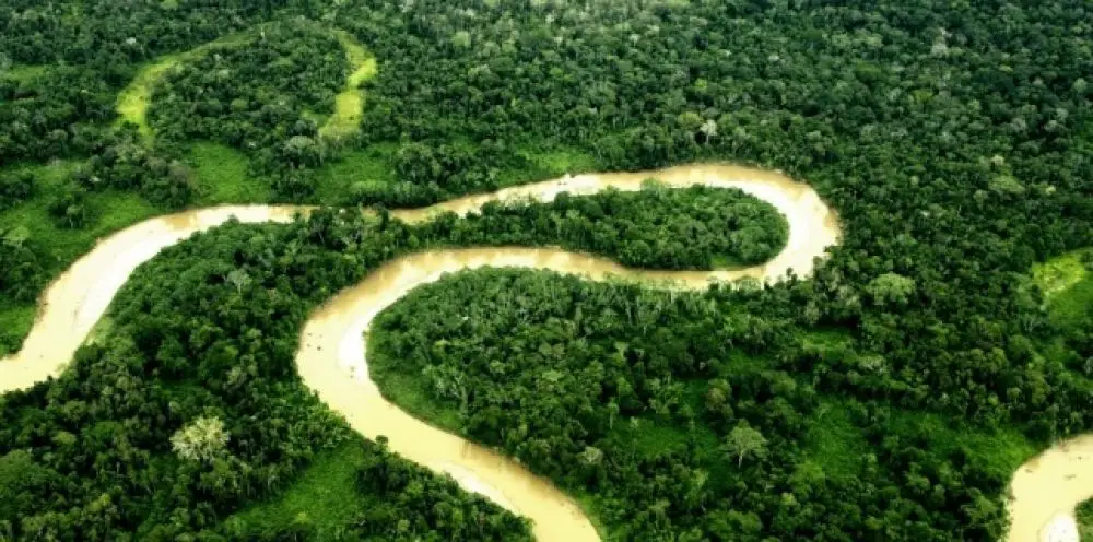 Forêt équatoriale Equateur