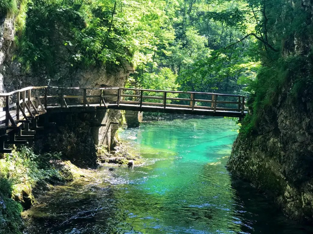 Les gorges de Vintgar en Slovénie