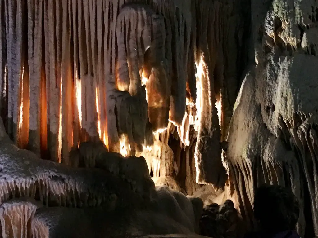 Grotte de Postojna en Slovénie