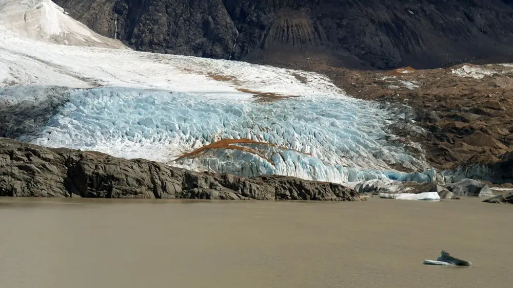 Le glacier et ses quelques icebergs de la laguna Torre