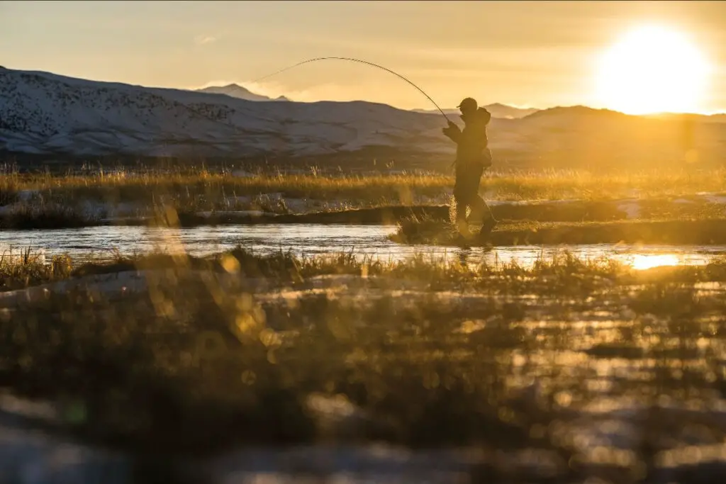 collection automne-hiver 2025 Patagonia