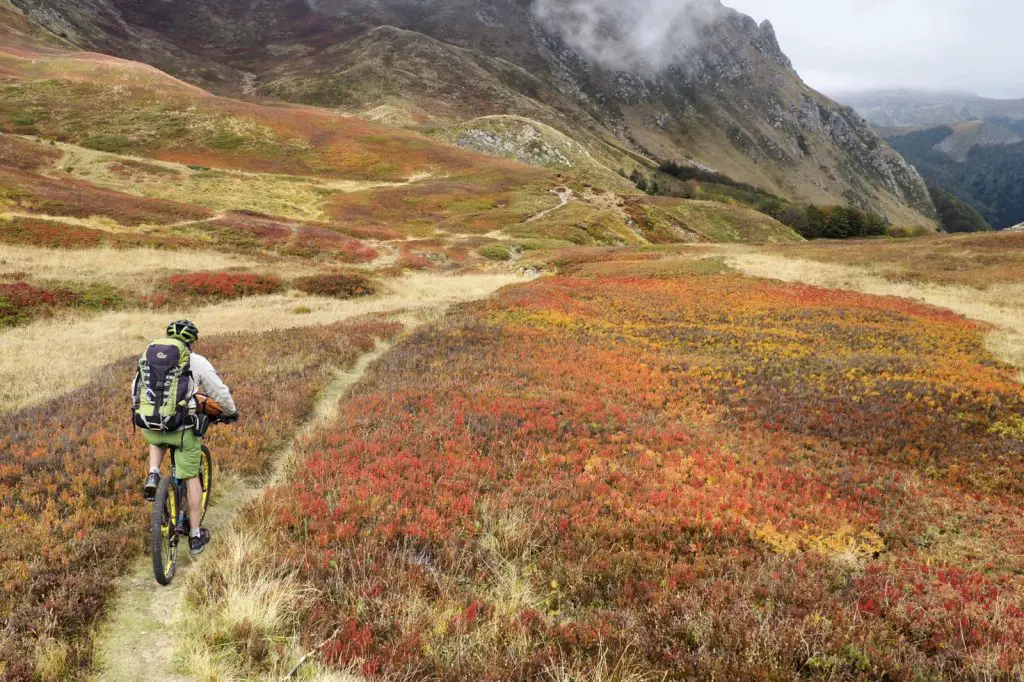 En contrebas, la forêt, domaine des cerfs lors du trip VTT en Toscane