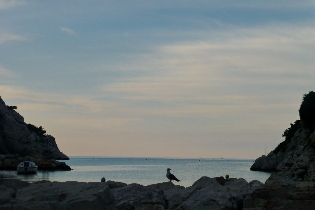 Le Port de Morgiou, désert à 7h du matin