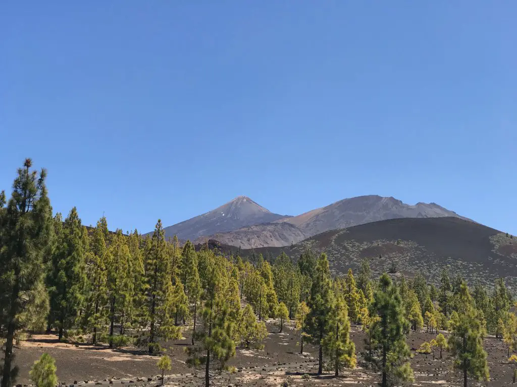 Paysage et vu sur le mont Teide à Ténérife