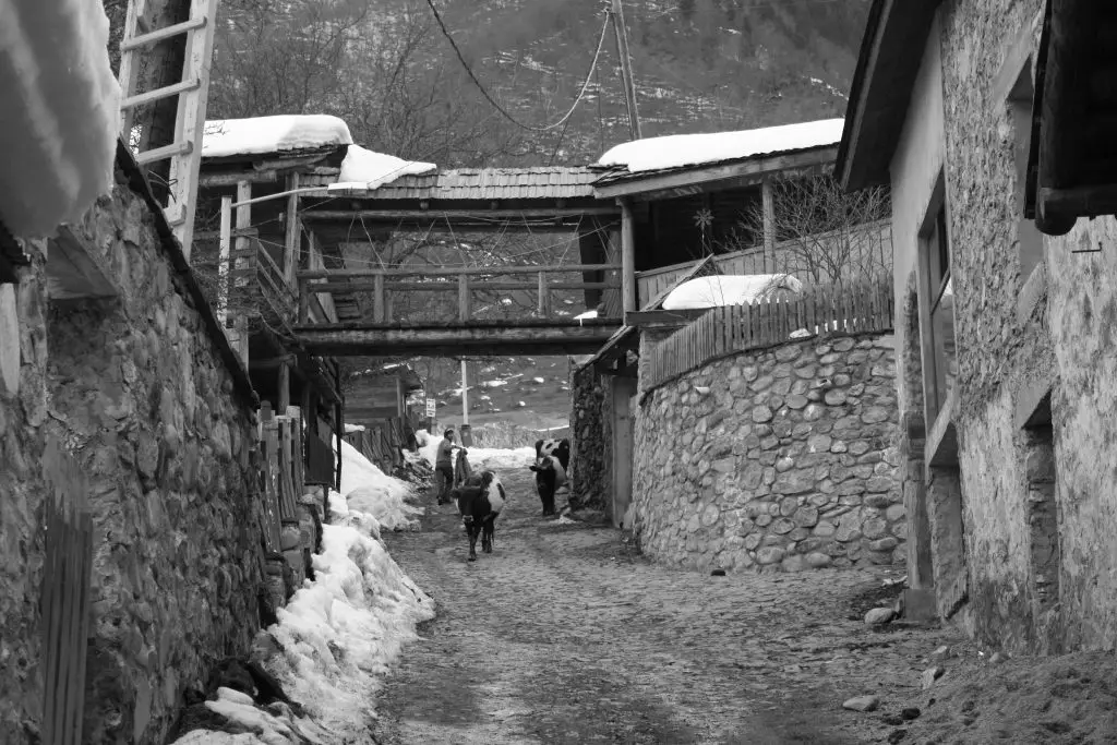 Vaches, bouses et neige les rues de Mestia