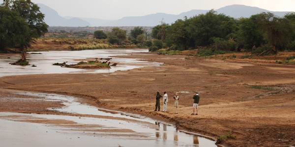 la rivière Ewaso Nyiro a découvrir durant votre voyage au kenya