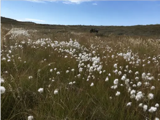 Paysages de l’Arctic Circle Trail