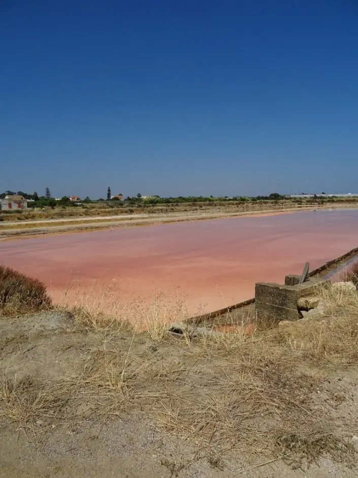 Marais salant aux couleurs roses après Olhão durant nos vacances à vélo en famille