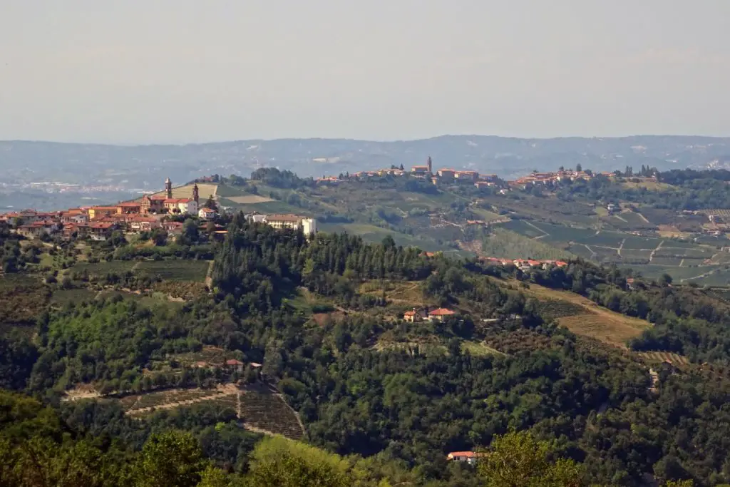 Paysage typique des Langhe en Italie