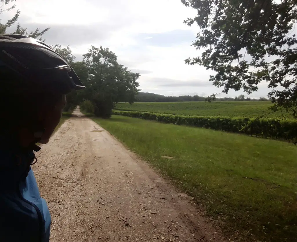 à travers les vignes de Gascogne