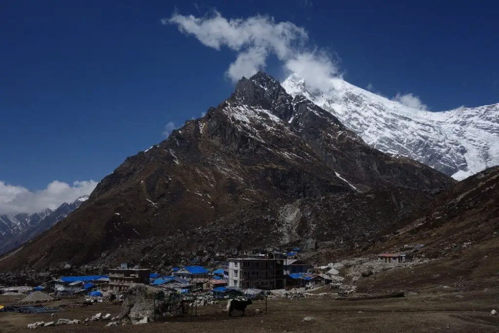 Sur fond de Langtang Ri durant notre traversée du Langtang 