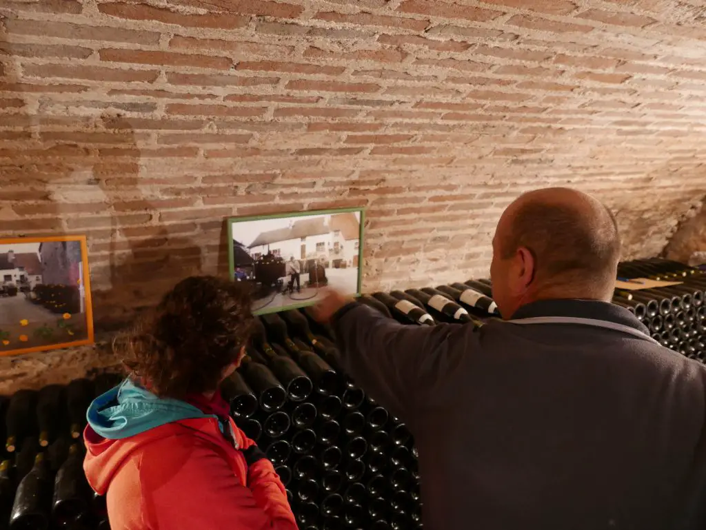 Denis Narjoux Viticulteur à Saint Martin Sous montaigu dans sa cave