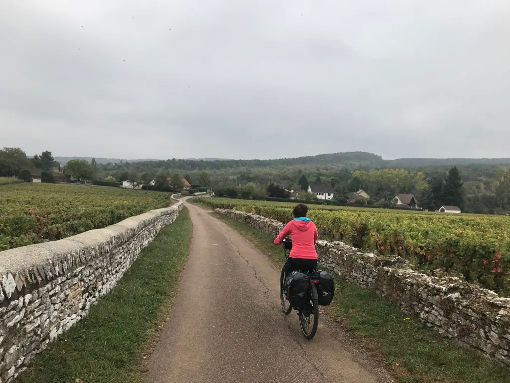 Vélo électrique entre les vignes de Saint Martin Sous Montaigu