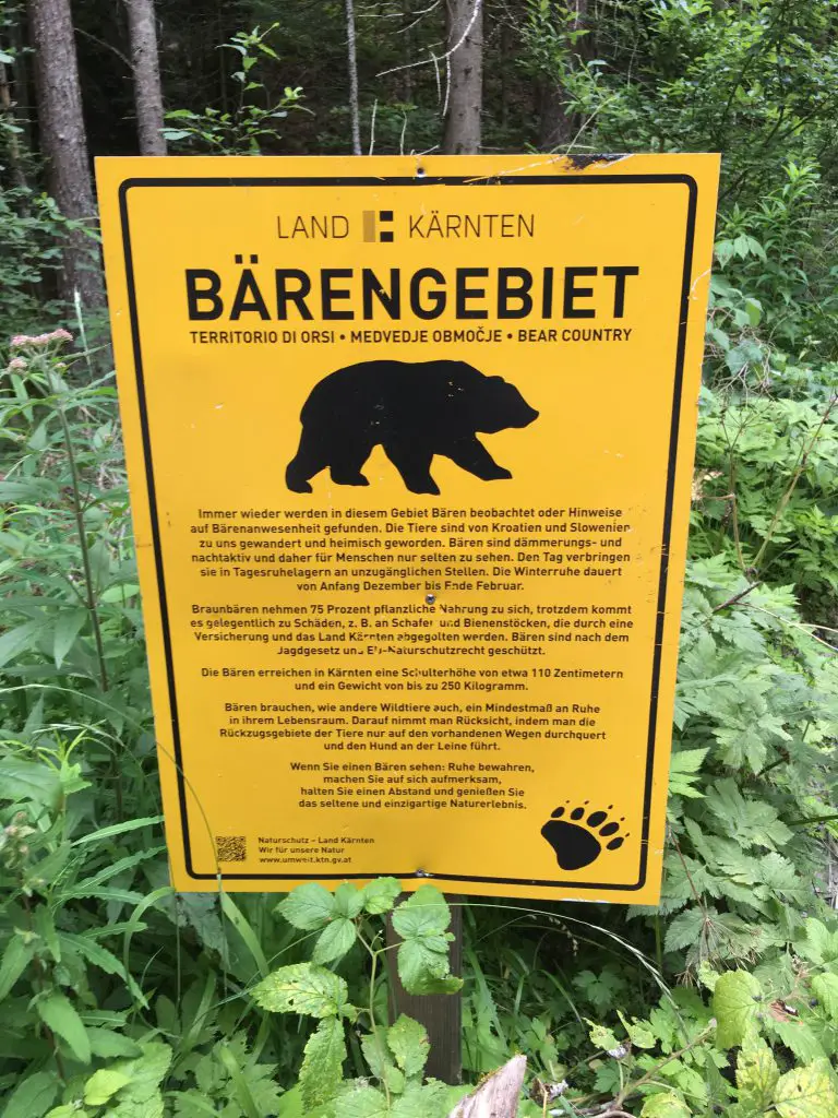 Attention Ours ......Pas cool, ça Attention Ours ......Pas cool, ça