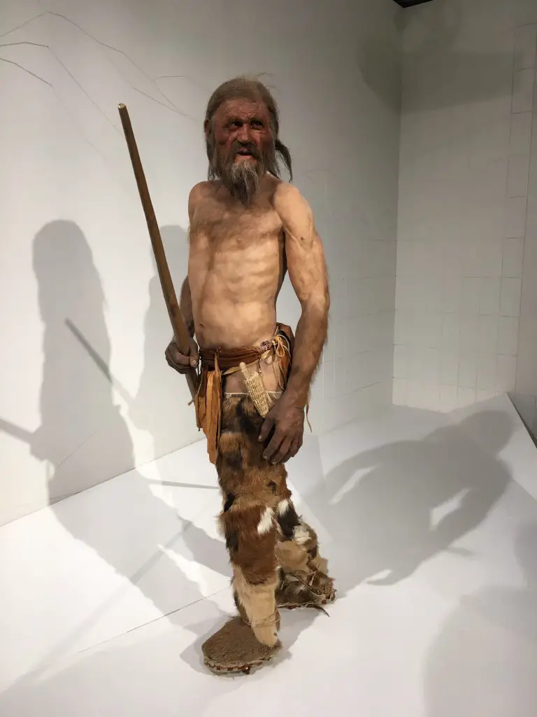 Ötzi, un Papi vieux de 5000 ans!