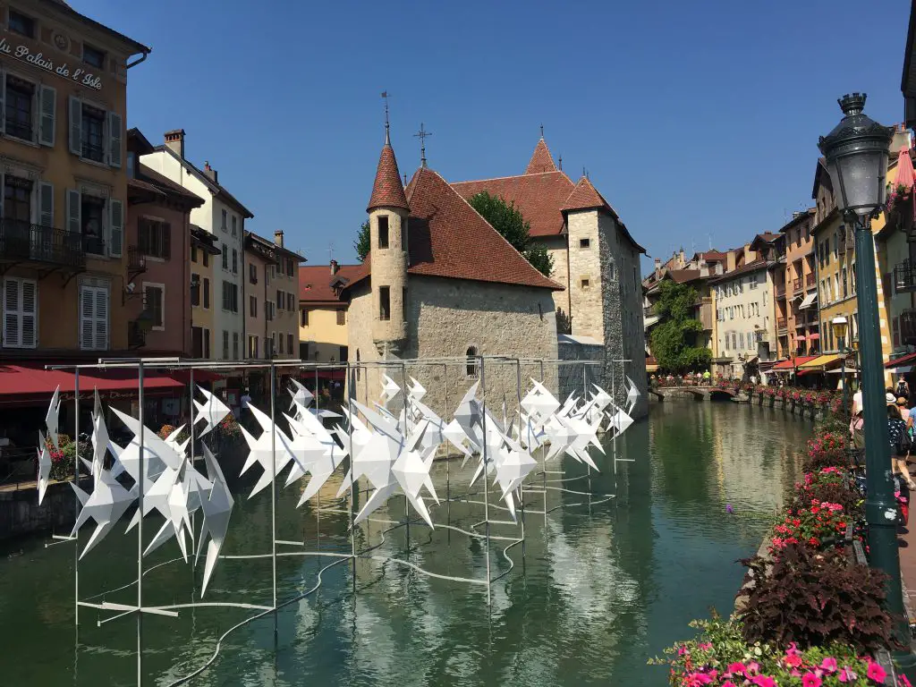 Il y a de drôles de poissons dans ce lac