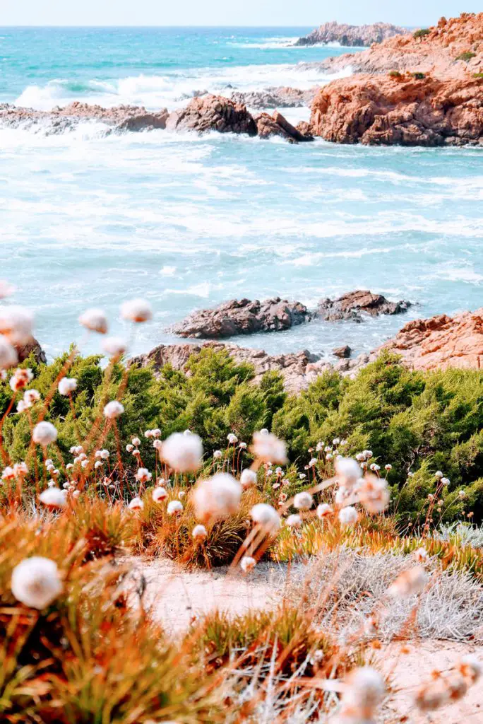 La beautée de la méditerranée durants notre séjour randonnée en Sardaigne