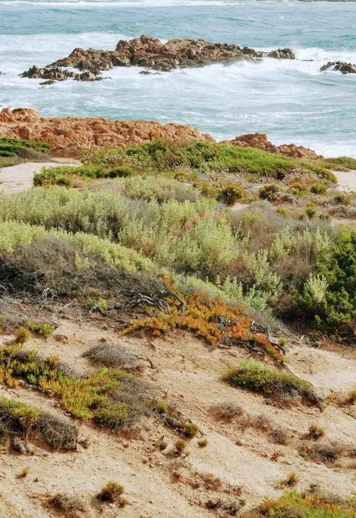 Le littoral de la Costa Rossa lors notre séjour randonnée en Sardaigne