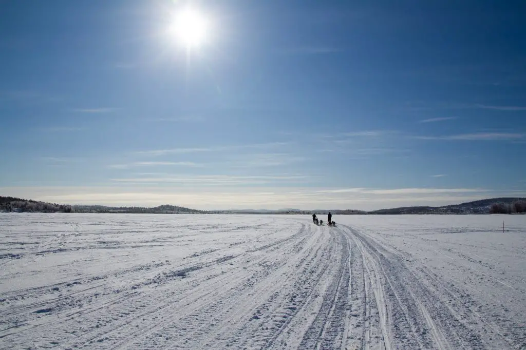 Première sortie en traineau en Laponie Finlandaise