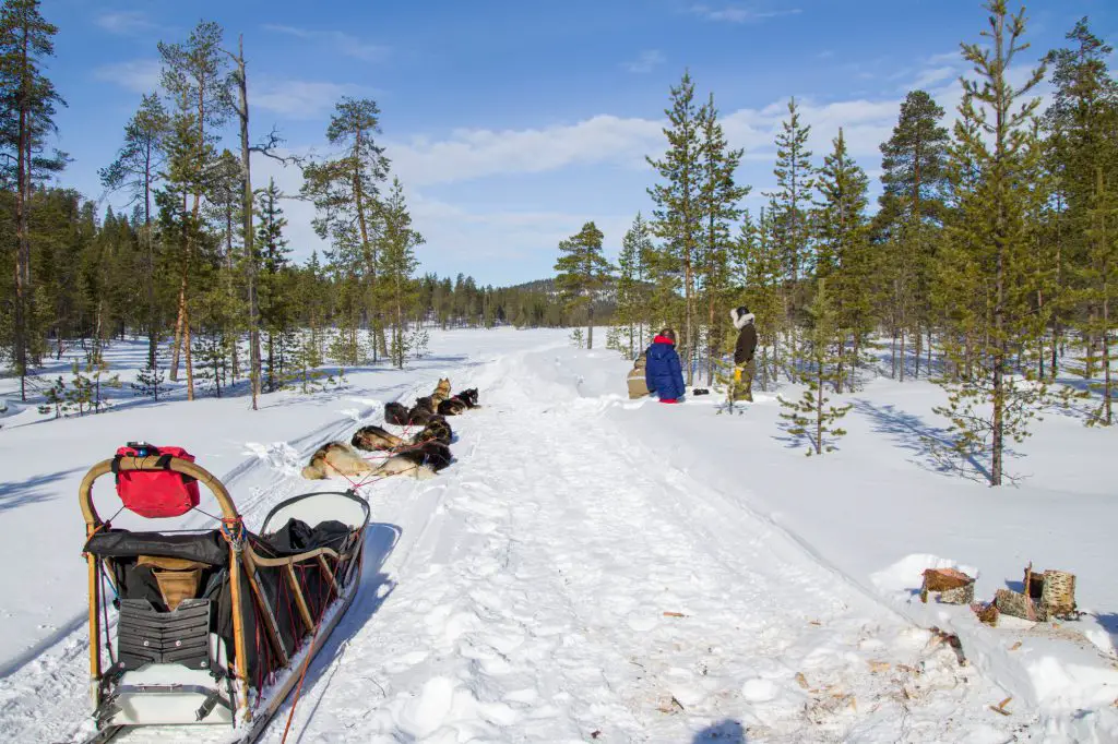 Pause matinale en Laponie Finlandaise