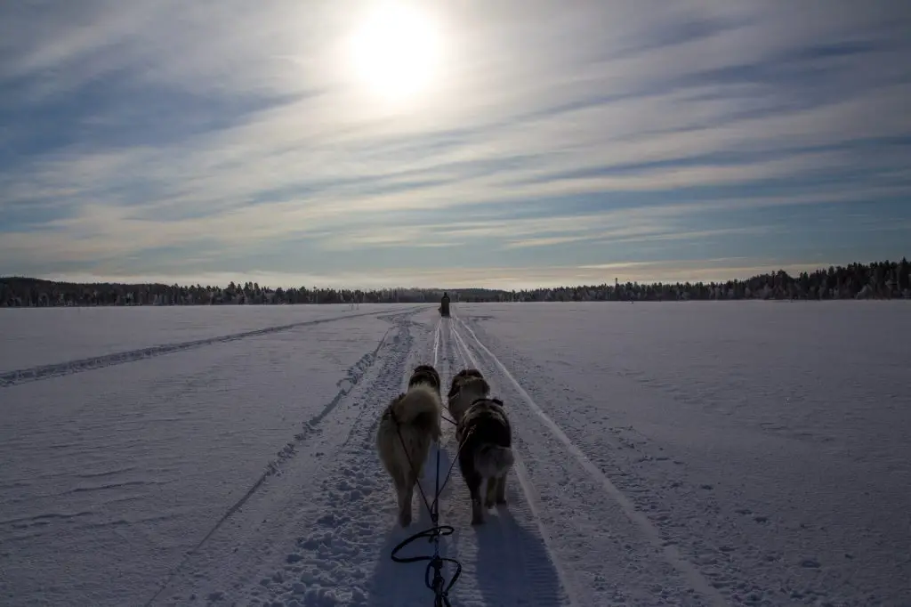 Départ du raid avec un voile brumeux sur la Laponie Finlandaise