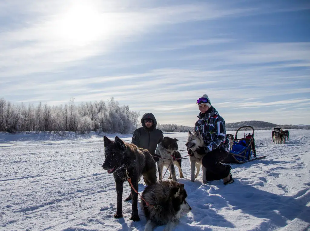 Matinnée du jour 2 en chien de traineau