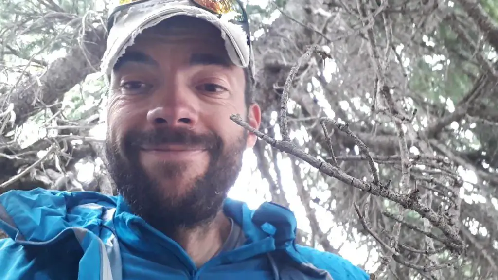 Dans les arbres en attendant l’accalmie durant le trek sur le Colorado trail