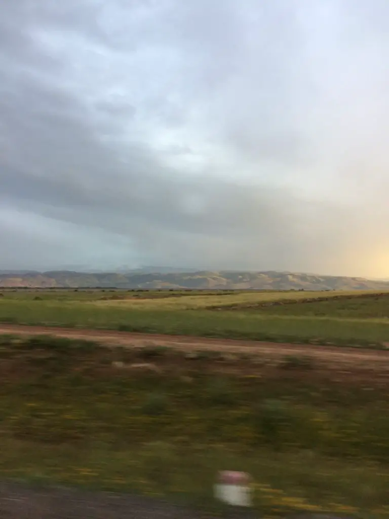 Le vert des champs depuis la voiture en direction de Taghia