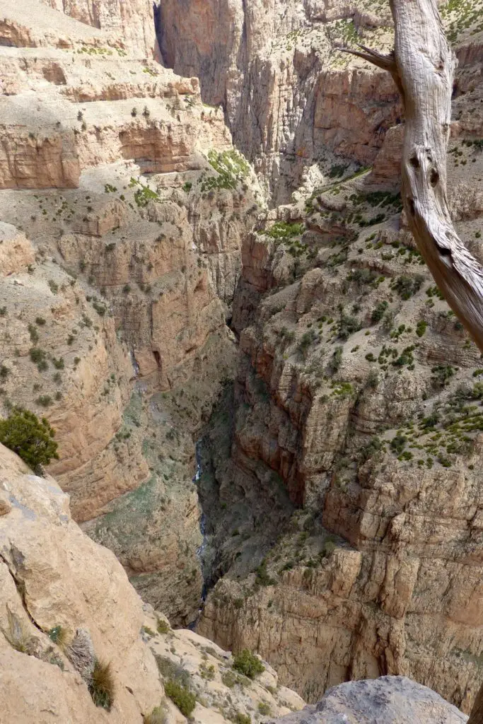 Le fond des gorges depuis la paroi d’Ifrig à Taghia au maroc