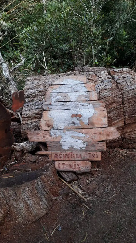 Comme un messager sur notre chemin sur le GR R2 de l’île de la réunion