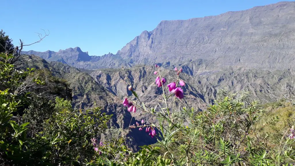 Depuis le sommet du Bronchard lors de notre Traversée de la Réunion à pied