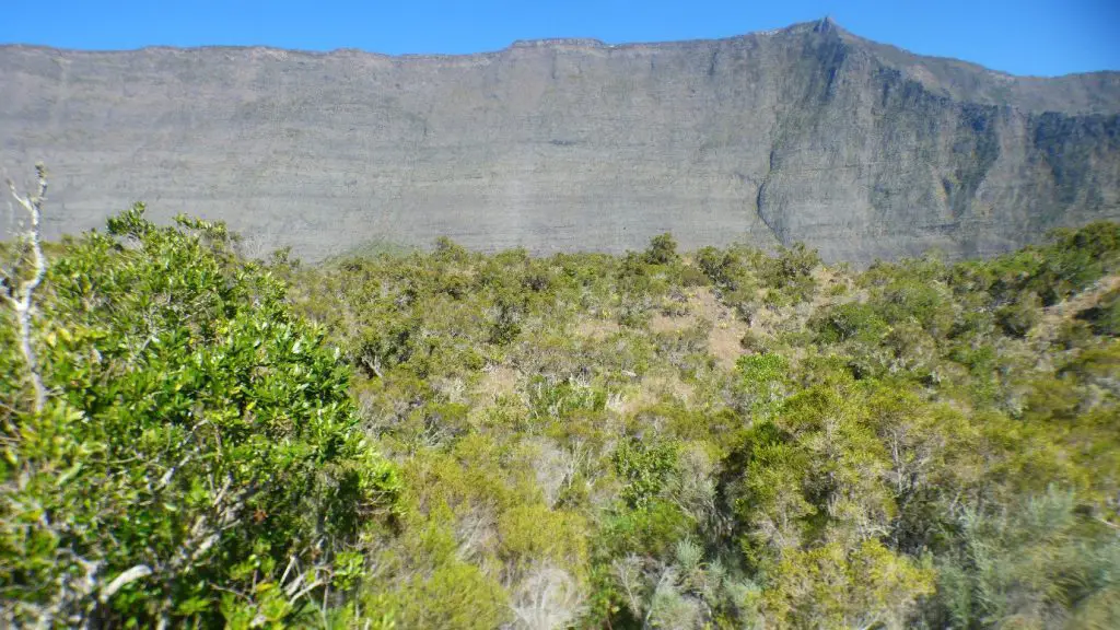 Vue sur le « rempart » de Mafate avec à nos pieds le cratère plat couvert de végétation du Bronchard