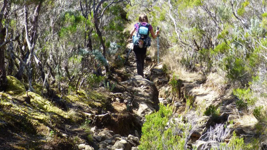 Descente interminable dans des pierriers