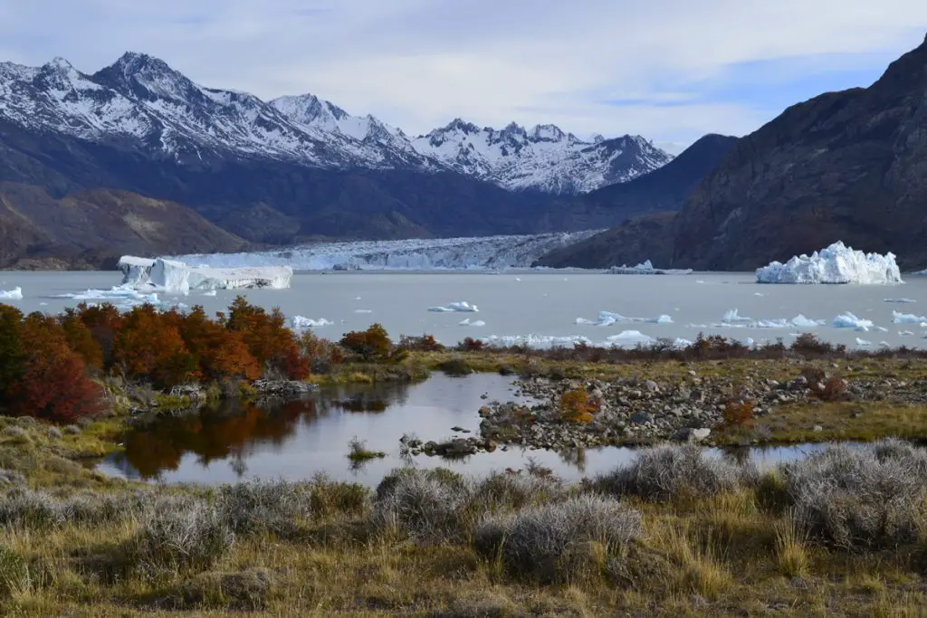 Un glacier, des icebergs sur un lac, des couleurs automnales et des monts enneigés, difficile de louper la photo ! durant notre trek sur le circuit Huemul