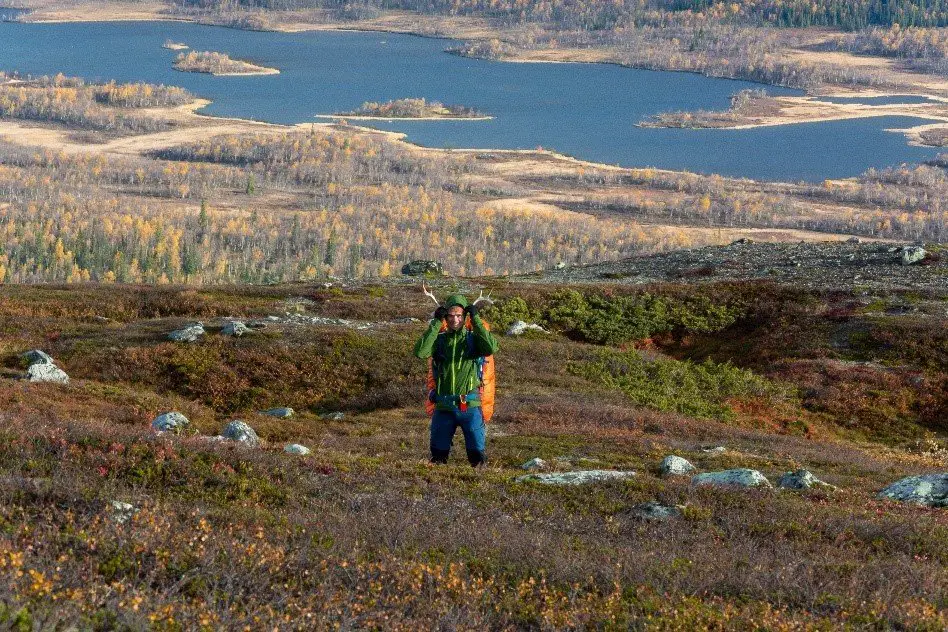 Hors du chemin, on ramasse des bois de rennes das le parc national du sarek