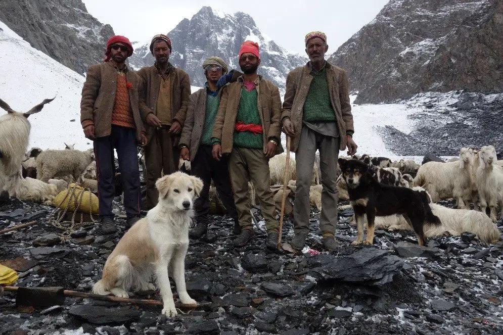 Les bergers Gaddis durant la traversée des Himalayas