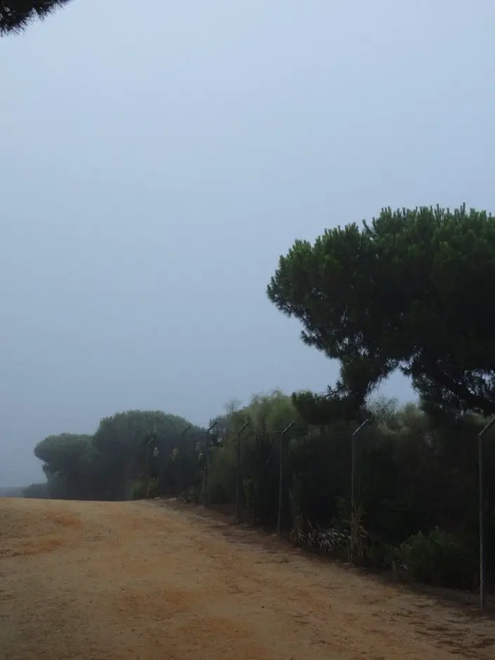 Réveil sous la brume en Andalousie pendant nos vacances à vélo en famille