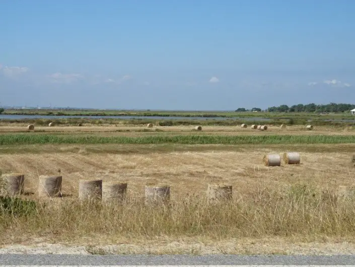 Changement de paysage lors de nos vacances à vélo en famille