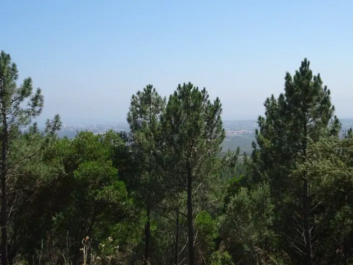 Serra de Sintra lors de notre séjour à vélo en famille