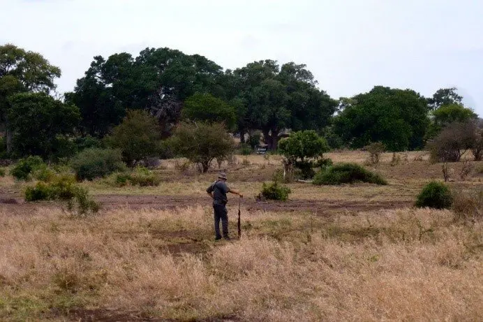 Morning Walk dans le parc Kruger lors de notre voyage en Afrique du Sud