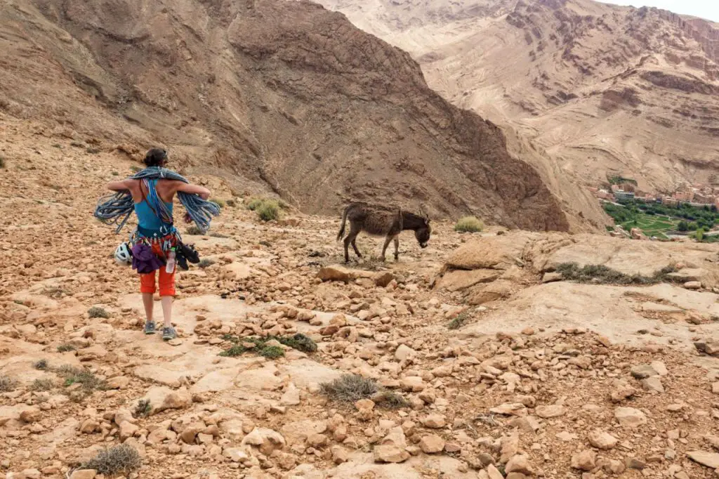 Retour de la paroi du levant pendant le séjour grimpe dans les gorges du Todgha 