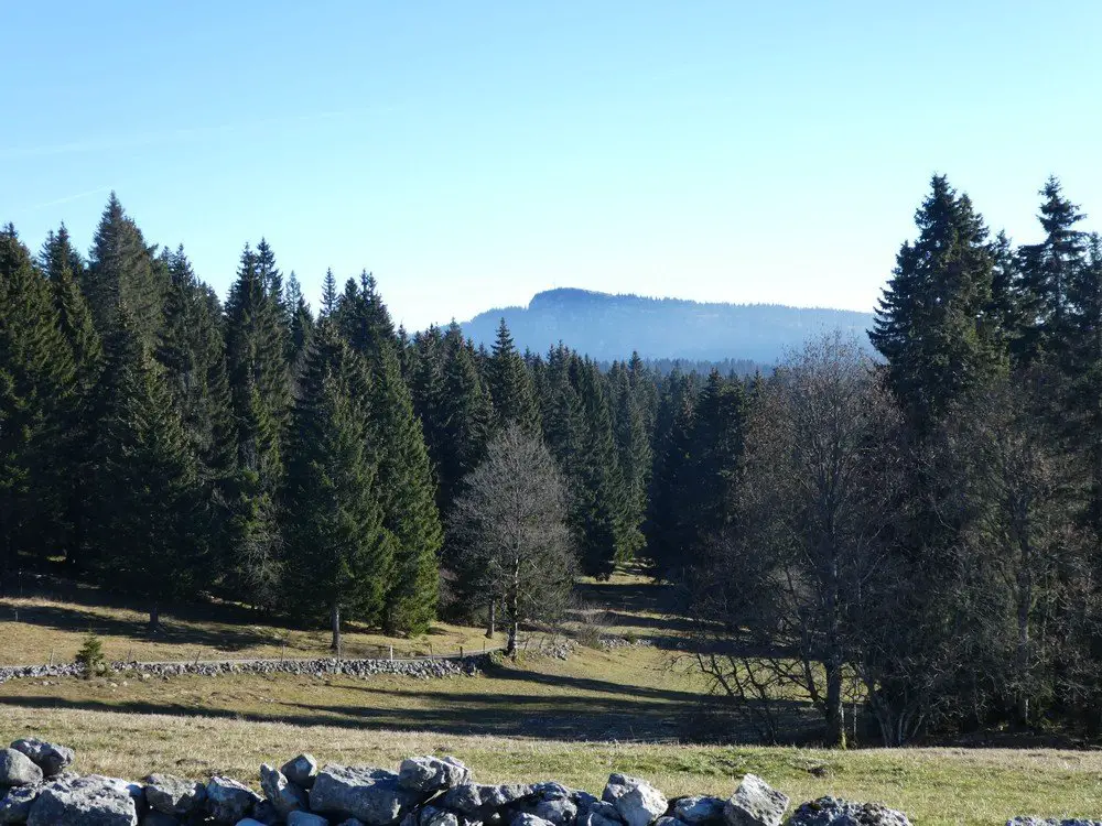 le Mont d'Or dans le jura