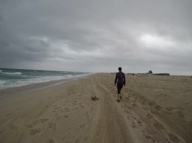 Sur la plage de Rass Al Hadd à Oman