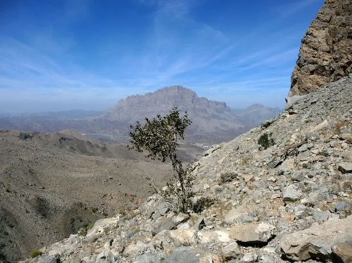 Vue sur le djebel Misht durant notre session escalade à Oman